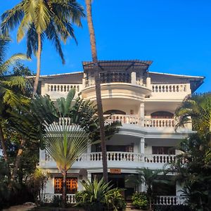 Olive Hotel Alidia Beach Resort By Embassy Group